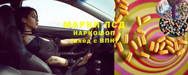 ПСИЛОЦИБИНОВЫЕ ГРИБЫ Осинники
