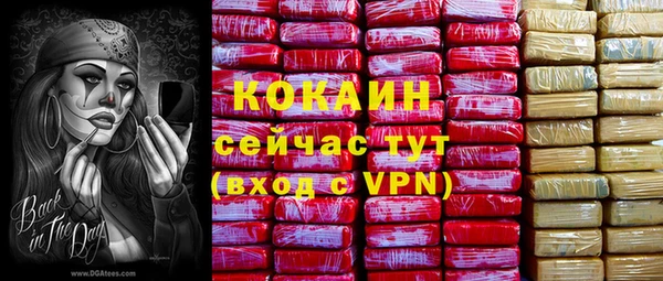гашик Осташков