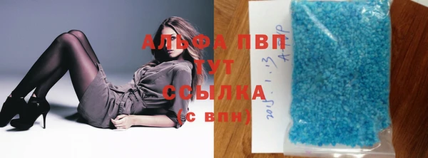 ПСИЛОЦИБИНОВЫЕ ГРИБЫ Осинники