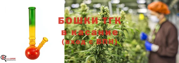 ПСИЛОЦИБИНОВЫЕ ГРИБЫ Осинники
