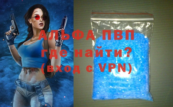 ПСИЛОЦИБИНОВЫЕ ГРИБЫ Осинники