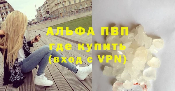 ПСИЛОЦИБИНОВЫЕ ГРИБЫ Осинники