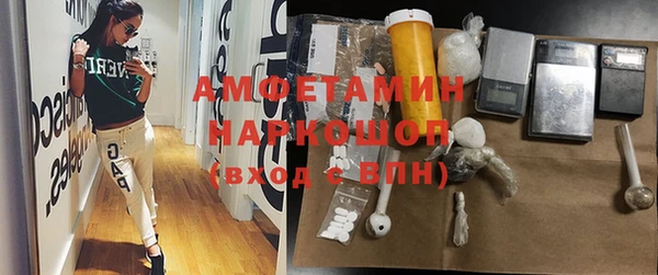 гашик Осташков
