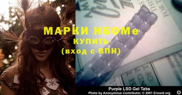 ПСИЛОЦИБИНОВЫЕ ГРИБЫ Осинники