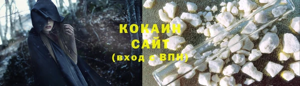 ПСИЛОЦИБИНОВЫЕ ГРИБЫ Осинники