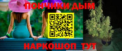 PSILOCYBIN Кандалакша