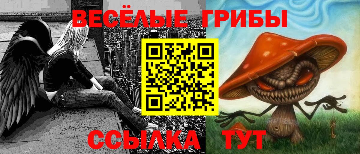 Галлюциногенные грибы мицелий  Галлюциногенные грибы ЛСД  Чебоксары 