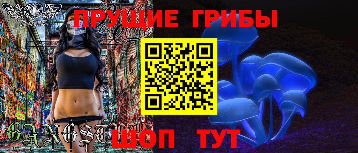 Псилоцибиновые грибы мицелий Чебоксары