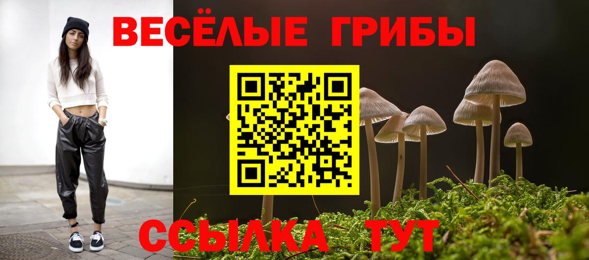 Чебоксары  Псилоцибиновые грибы Psilocybe  где можно купить наркотик  Вход с VPN  Псилоцибиновые грибы мицелий 